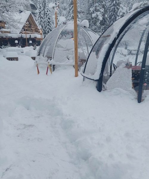 dinning domes outside snowproof